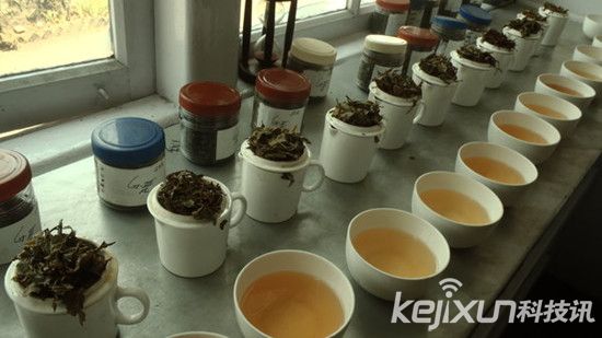 印度茶葉電商Teabox融資600萬美金擴(kuò)張海外市場