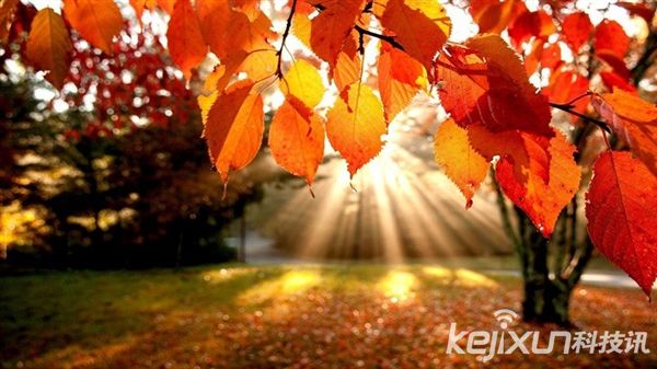 微軟Win10手機(jī)版將于今年發(fā)布 最早10月份