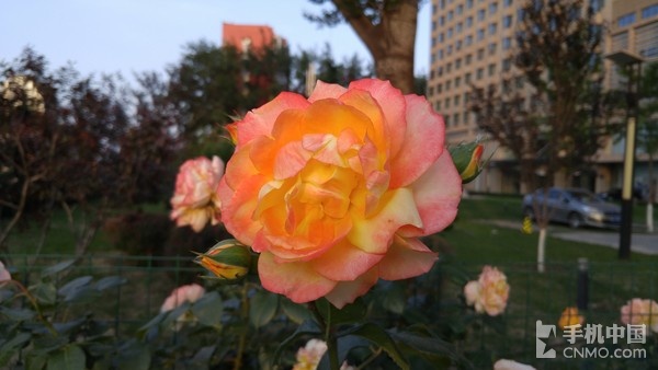 LG G4行貨版拍照體驗(yàn)（2）_LG G4第2張圖