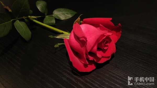 LG G4行貨版拍照體驗(yàn)（2）_LG G4第3張圖