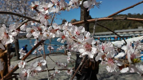 牛X的流光快門(mén)_努比亞Z9第5張圖