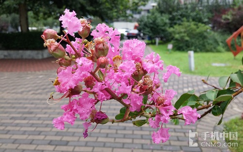 激光對焦Duang_努比亞Z9第2張圖