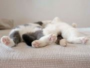 接受電子紅包要收稅？你怎么看