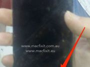 專家：人與機器人性愛將成常態