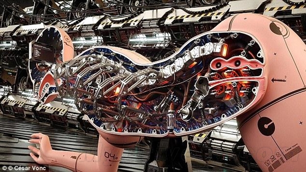 專家:人與機(jī)器人性愛(ài)將成常態(tài)