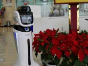 不能用谷歌翻譯的痛，就用這些翻譯神器來彌補(bǔ)吧