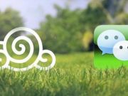 面對(duì)競(jìng)價(jià)，SEO的價(jià)值在哪？