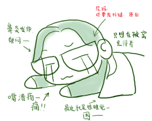 接單經歷 seosr 優化之路