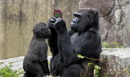 微信運營 微信加粉 微信營銷