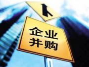 此時鼓勵兼并重組，不過是又一次救市努力