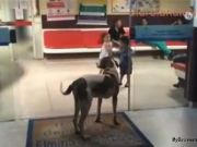 杠桿無(wú)處不在，A股又臨一坑：分級(jí)基金下折