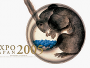 談談我至今5年的網站建站、“優(yōu)化”之路