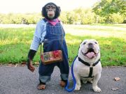 極簡設計真的好嗎？我們真正需要的是簡單且易用的產品