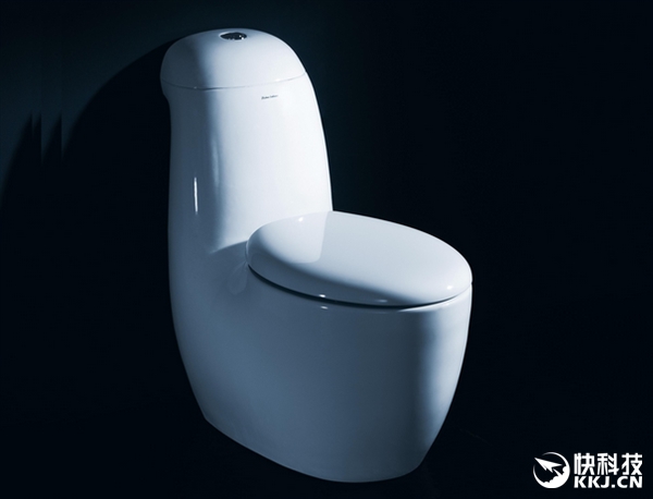 老外鄙視中國(guó)顧客素質(zhì)差:站馬桶上大便