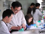 這20家獨角獸公司給程序員年薪最高：11萬美元起步