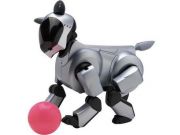 日本頂級專家：災害救援機器人是我們的重要領域|2015世界機器人大會