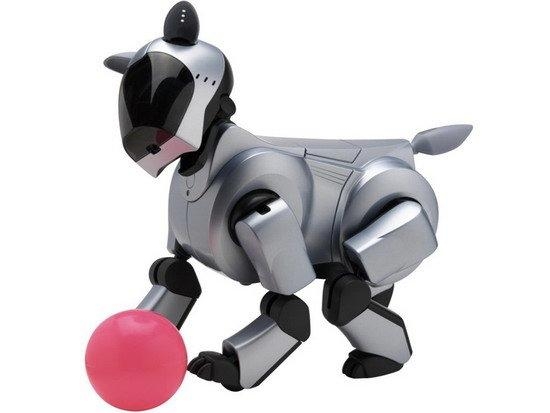 日本頂級專家:災害救援機器人是我們的重要領域 | 2015世界機器人大會