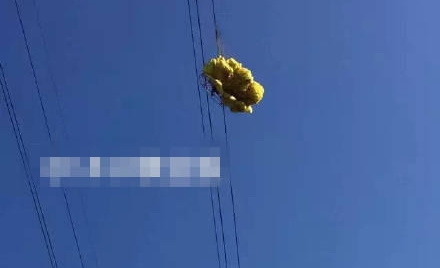 男子玩滑翔傘遇險(xiǎn):掛在11萬伏高壓線上