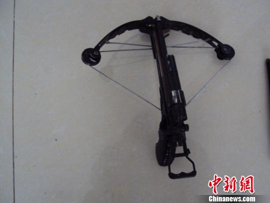 男子網購弓弩毒針盜殺家犬被發現后用毒針傷人