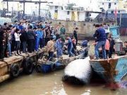 累覺不愛！12306網站購票圖片驗證碼達581種