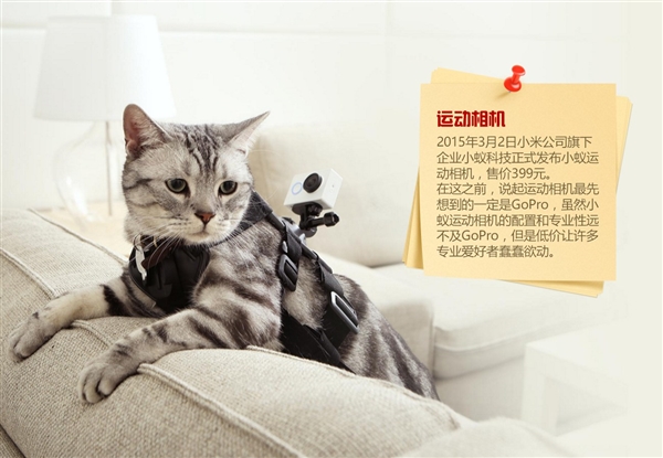 小米 一家偽裝成手機(jī)廠商的百貨公司