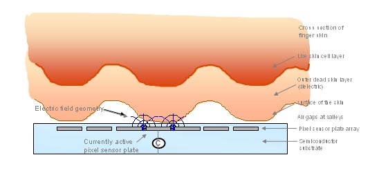 為什么指紋識(shí)別應(yīng)該成為手機(jī)的標(biāo)配?