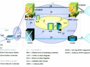 廣州驚現菊花葫蘆娃：造型雷人網友看瞎