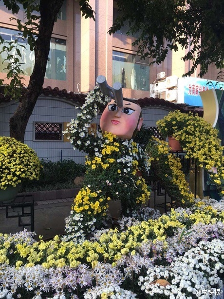 廣州驚現菊花葫蘆娃:造型雷人 網友看瞎