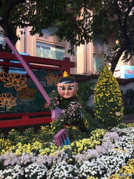 廣州驚現菊花葫蘆娃:造型雷人 網友看瞎