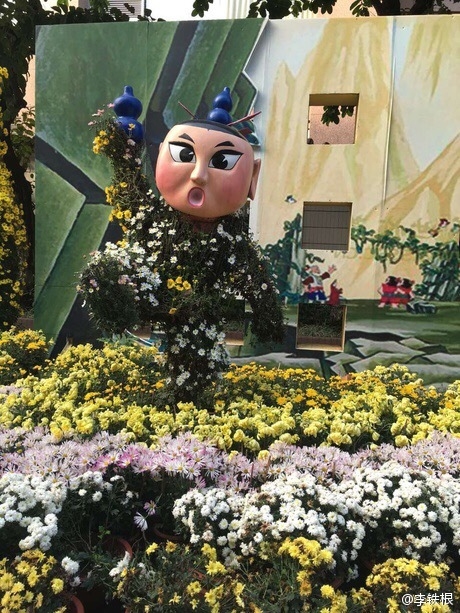 廣州驚現菊花葫蘆娃:造型雷人 網友看瞎