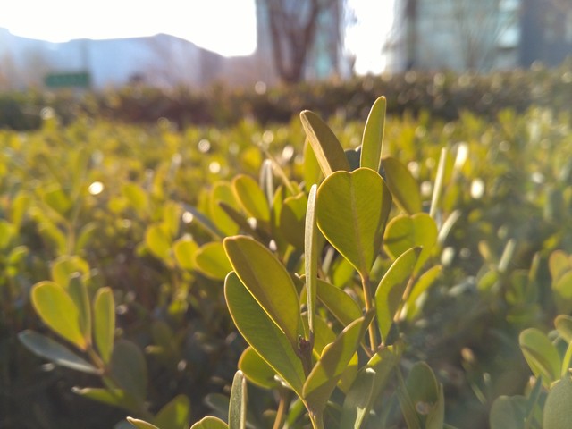 千元機大戰 榮耀暢玩5X對比紅米Note 3