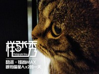 樣張秀:看鋒尚MAX隨拍摩卡/奧利奧的1天