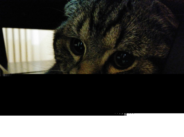 樣張秀:看鋒尚MAX隨拍摩卡/奧利奧的1天