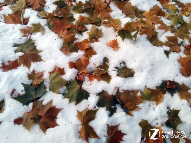 水土不“服” AGM A1三防旅行手機評測