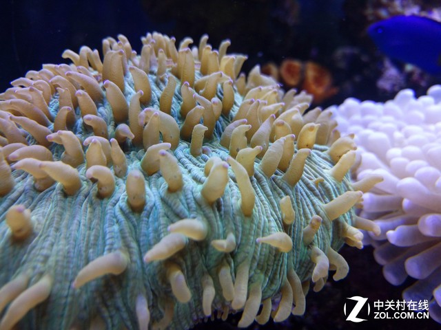 vivo X6 Plus評測 :極速和HiFi的新革命