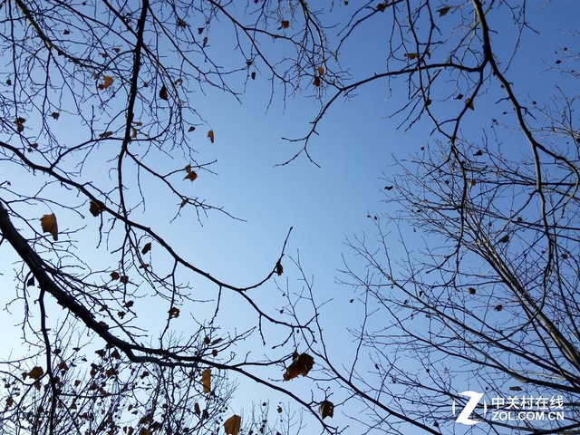 中興Blade A1拍照評測