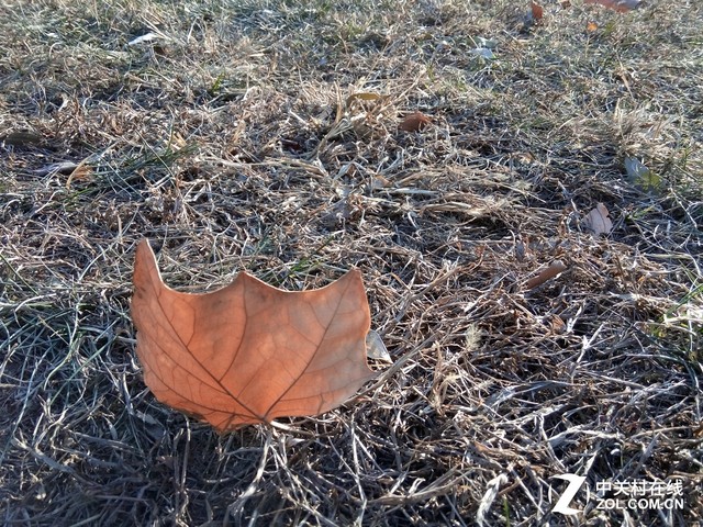 中興Blade A1拍照評測