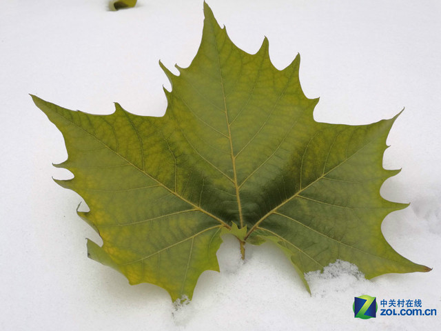 4GB RAM+安卓6.0 華為Mate 8購機手冊