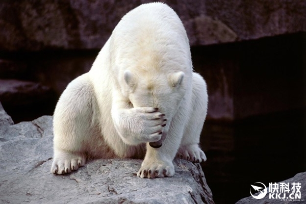 Windows10系統 補丁 Office