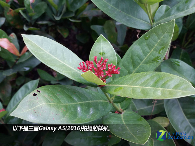 雙2.5D+全網通4G 三星A5(2016)購機手冊