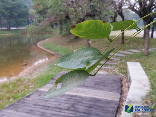 雙2.5D+全網通4G 三星A5(2016)購機手冊