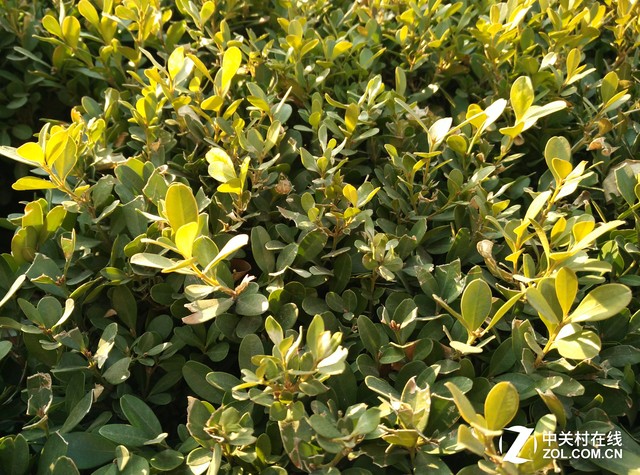 性價(jià)比之爭(zhēng) 斐訊輕客2S對(duì)比小米note