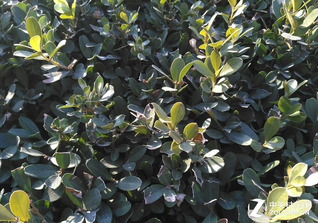 性價(jià)比之爭(zhēng) 斐訊輕客2S對(duì)比小米note