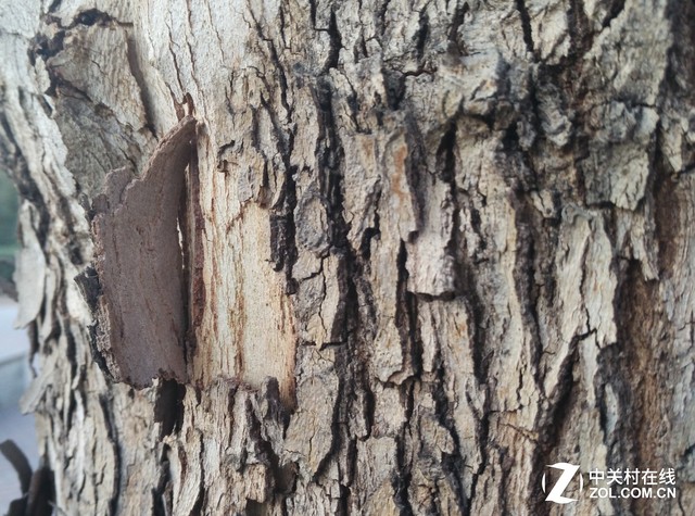 性價(jià)比之爭(zhēng) 斐訊輕客2S對(duì)比小米note