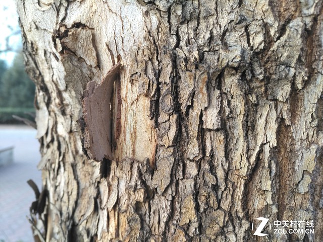 性價(jià)比之爭(zhēng) 斐訊輕客2S對(duì)比小米note