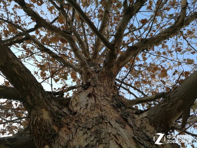 三軸智能光學(xué)防抖 華為Mate 8拍照體驗(yàn) 