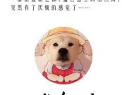 臺灣“超神意見表”走紅 只因為上餐太慢了