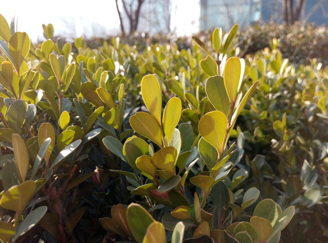 誰更好用? 魅藍metal/紅米Note 3對比 