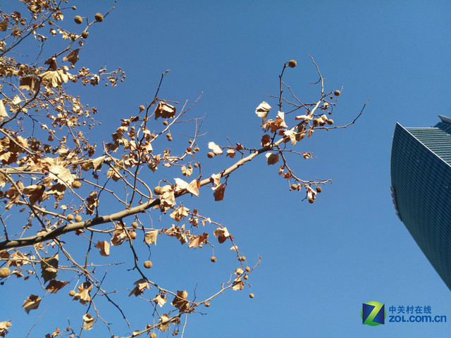 雙引擎閃充+4GB RAM vivo X6Plus購機(jī)手冊(cè)