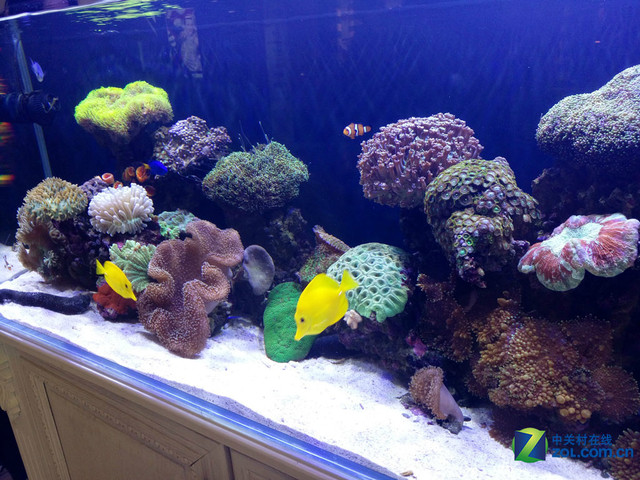 雙引擎閃充+4GB RAM vivo X6Plus購機(jī)手冊(cè)